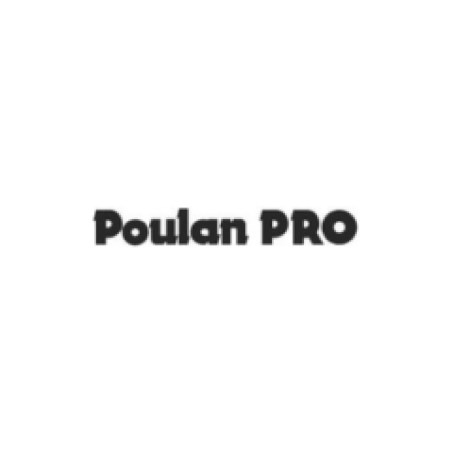 Цилиндры Poulan PRO